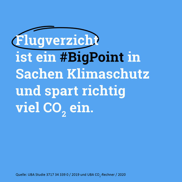 Big Point Fliegen Nr.3