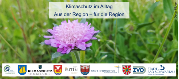 Bild vergr&ouml;&szlig;ern: Banner2601